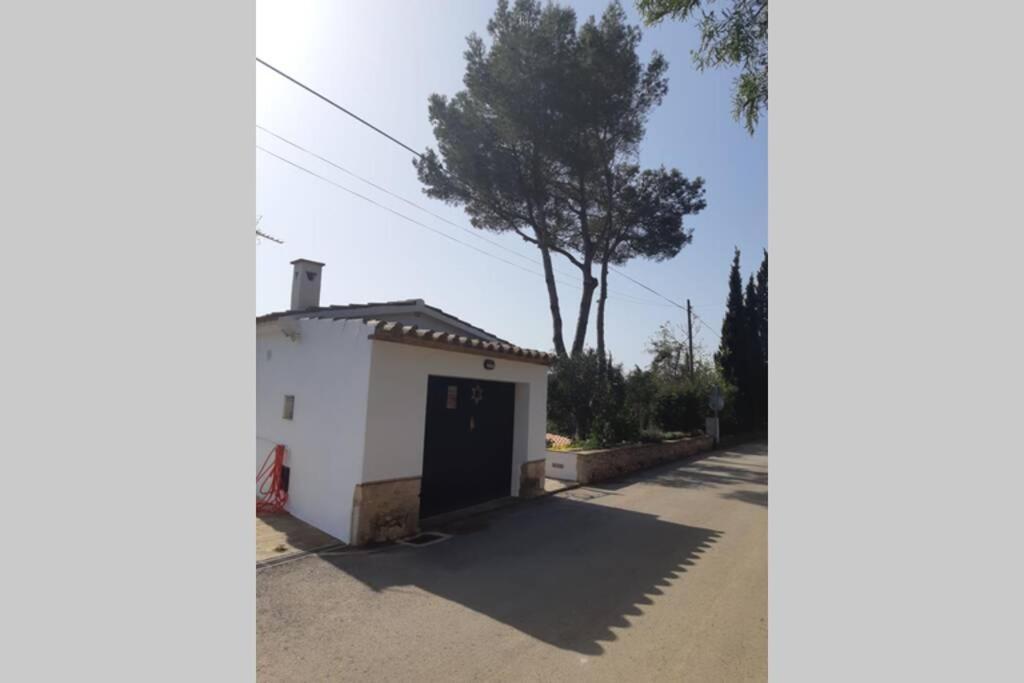 Estudio Vistas Al Mar Tamariu Y Bosques De Begur Εξωτερικό φωτογραφία