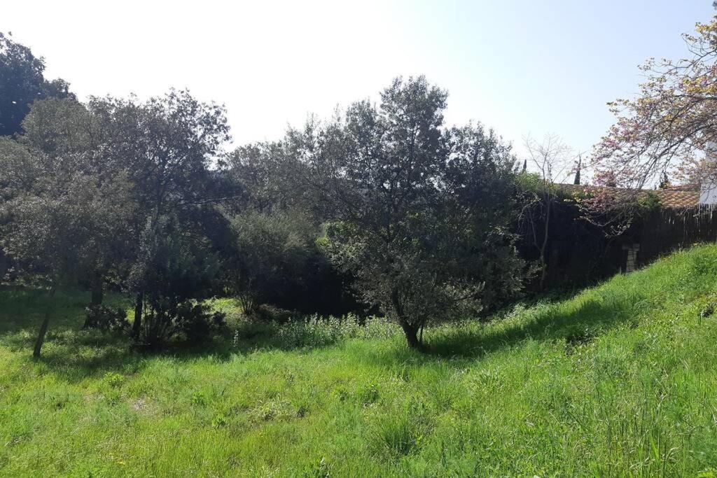 Estudio Vistas Al Mar Tamariu Y Bosques De Begur Εξωτερικό φωτογραφία