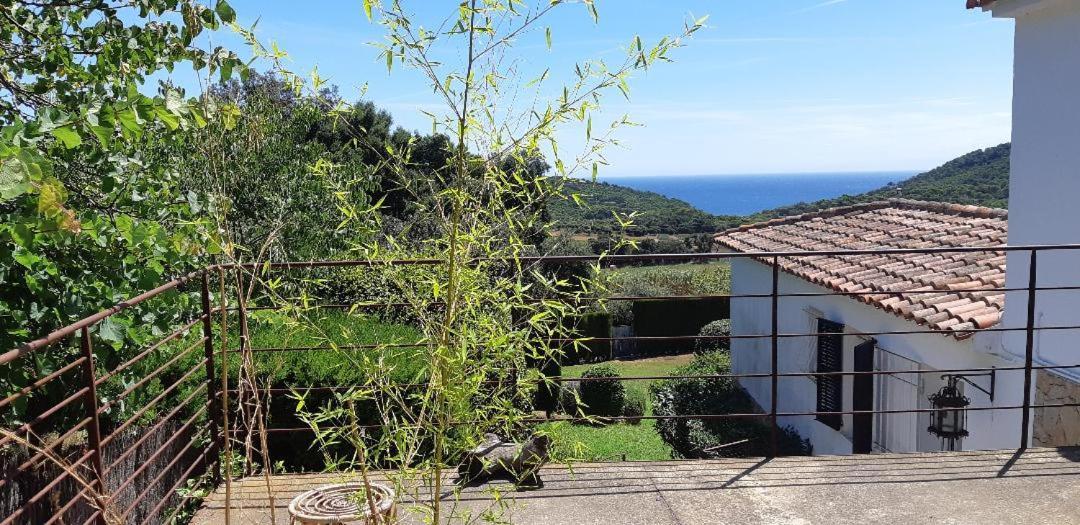 Estudio Vistas Al Mar Tamariu Y Bosques De Begur Εξωτερικό φωτογραφία