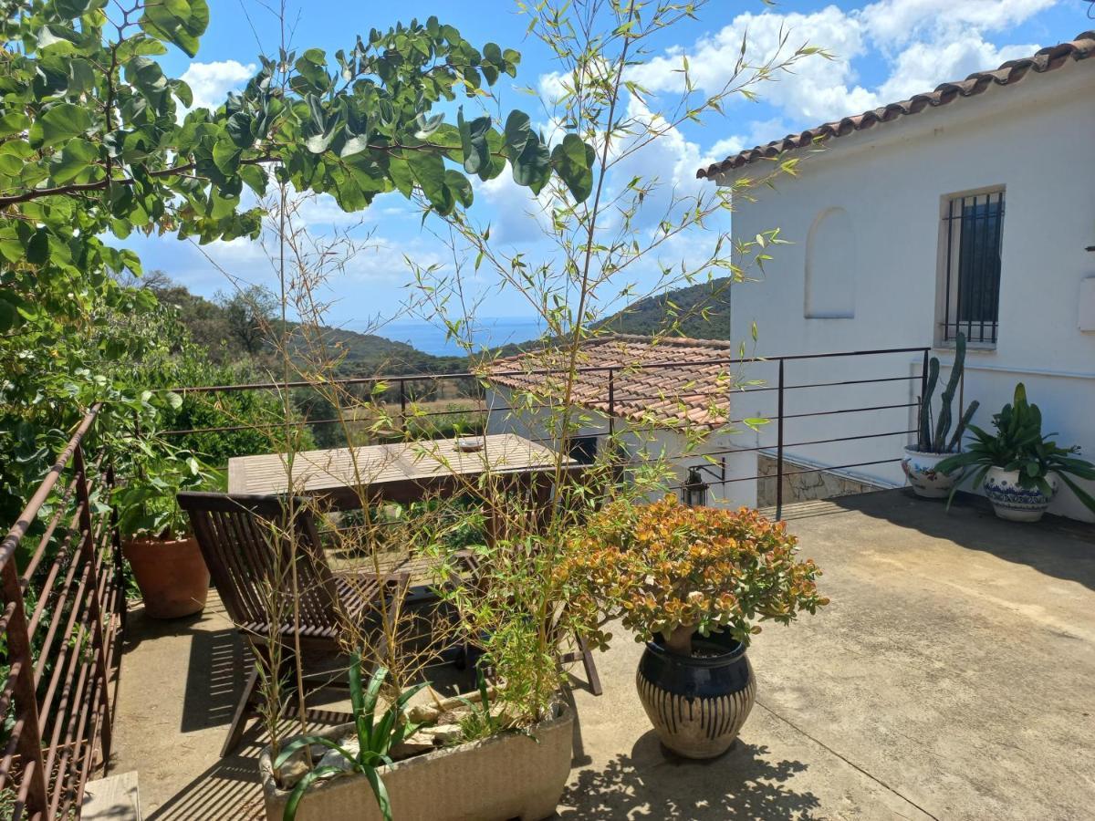 Estudio Vistas Al Mar Tamariu Y Bosques De Begur Εξωτερικό φωτογραφία